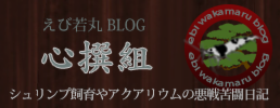 banner_blog_ebiwaka.png